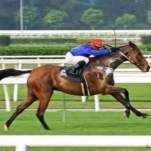 Meet your Posher, Javier